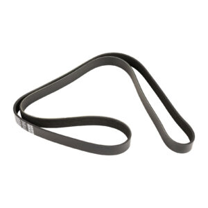 Courroie nervurée Dayco - Réf. 6000616598 - Pièce adaptable