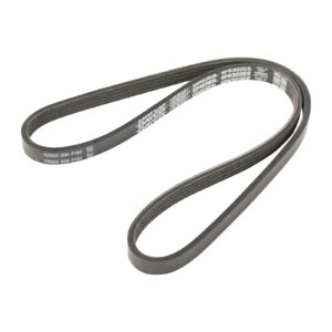 Ceinture extensible 4k922 dayco - Réf. 9664069480 - Pièce adaptable