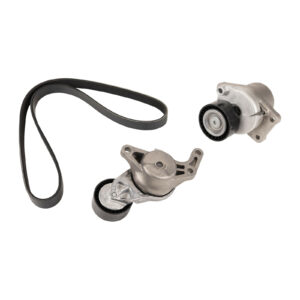 Jeu de courroies trapézoïdales Dayco - Réf. 1616876980 - Pièce adaptable