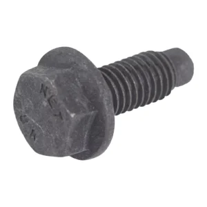 Vis For The Sliding Porte - Réf. 8062149OE - Pièce Origine FCA