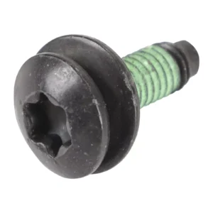 Vis For The Sliding Porte - Réf. 8062638OE - Pièce Origine FCA