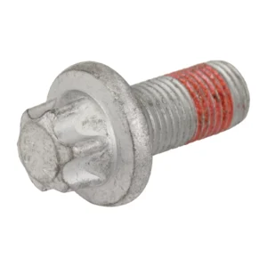 Vis With Rondelle For The Front Brake - Réf. 8062819OE - Pièce Origine FCA
