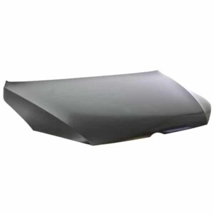 CAPOT GOLF SPORTSVAN 02/14 =>