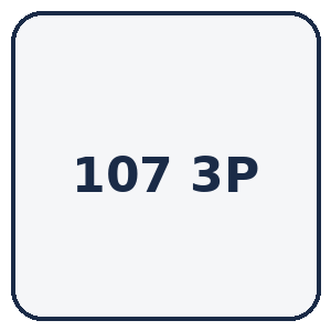 107 3 PORTES