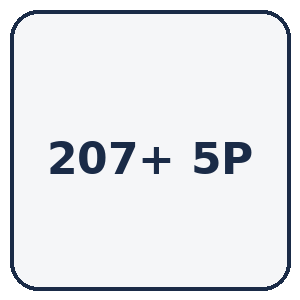 207 + 5 PORTES