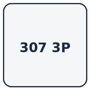 307 3 PORTES