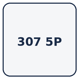 307 5 PORTES