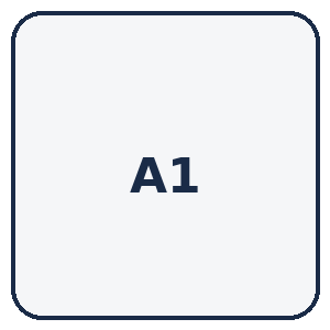A1