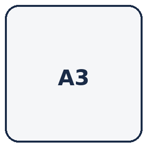A3