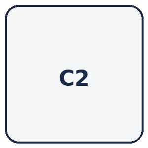 C2