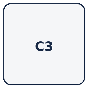 C3