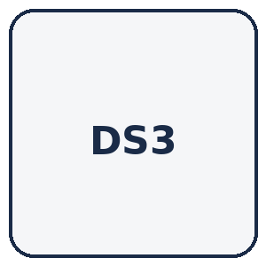 DS3