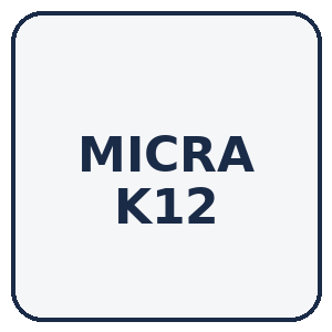 MICRA K12