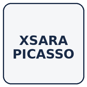 XSARA PICASSO