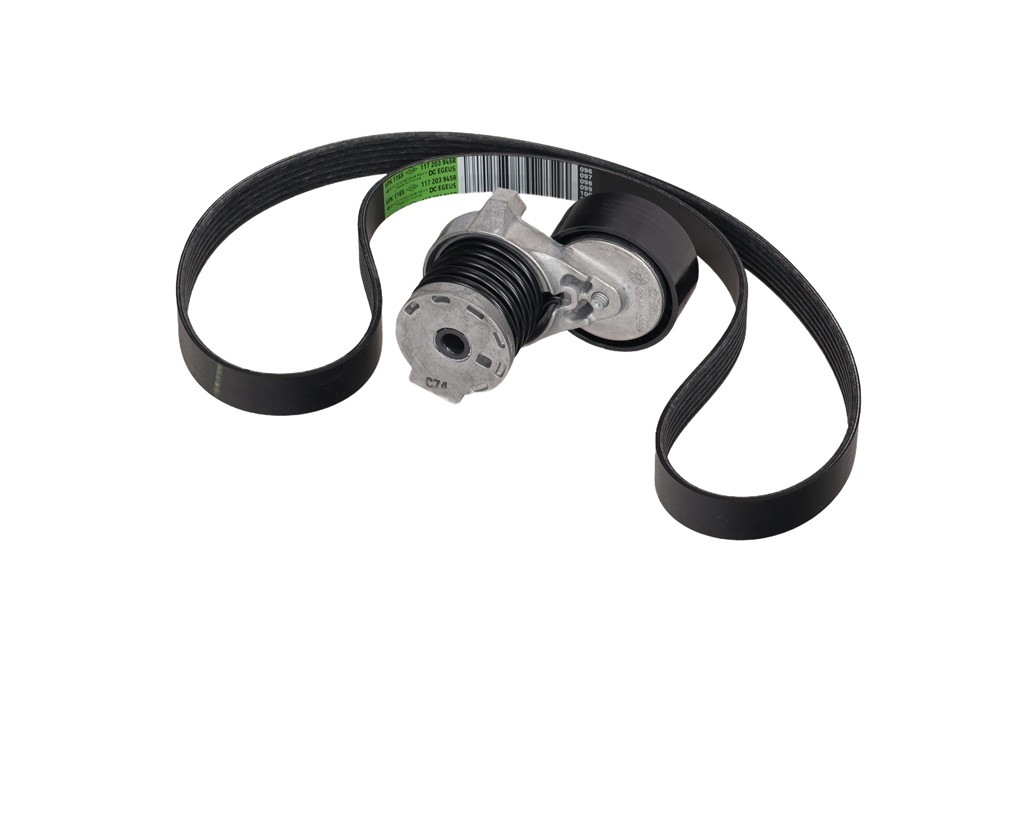 Courroie trapézoïdale à nervures Renault Kangoo III 21> tendeurs 1.5 DCI — Réf. OR 117204246R